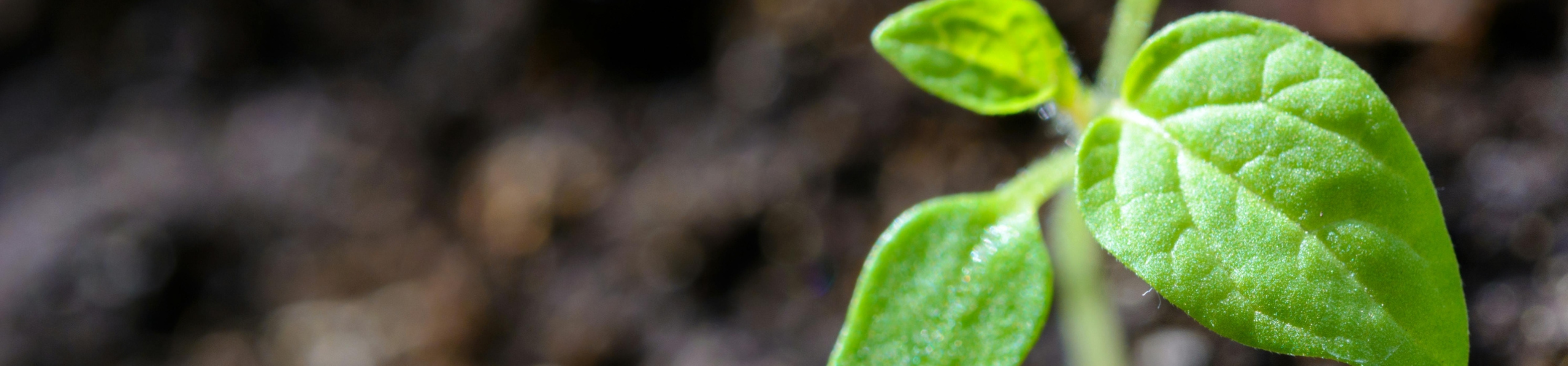CO2care.com