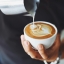 Plant-based drinks offer a dairy-free alternative, but cow's milk still leads in protein and essential nutrients.